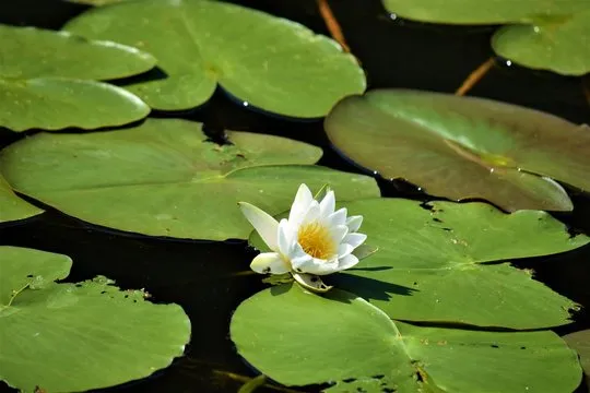 模型可视化与数据趋势 - 极速28